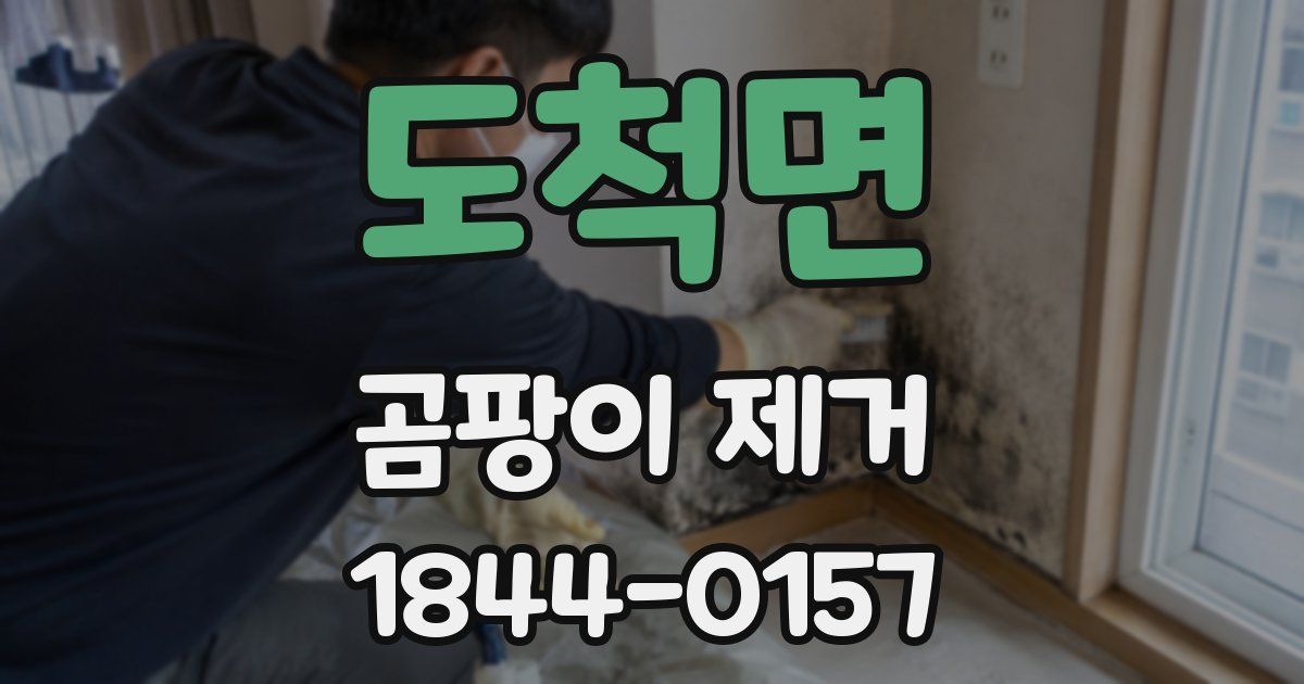 도척면 곰팡이 제거