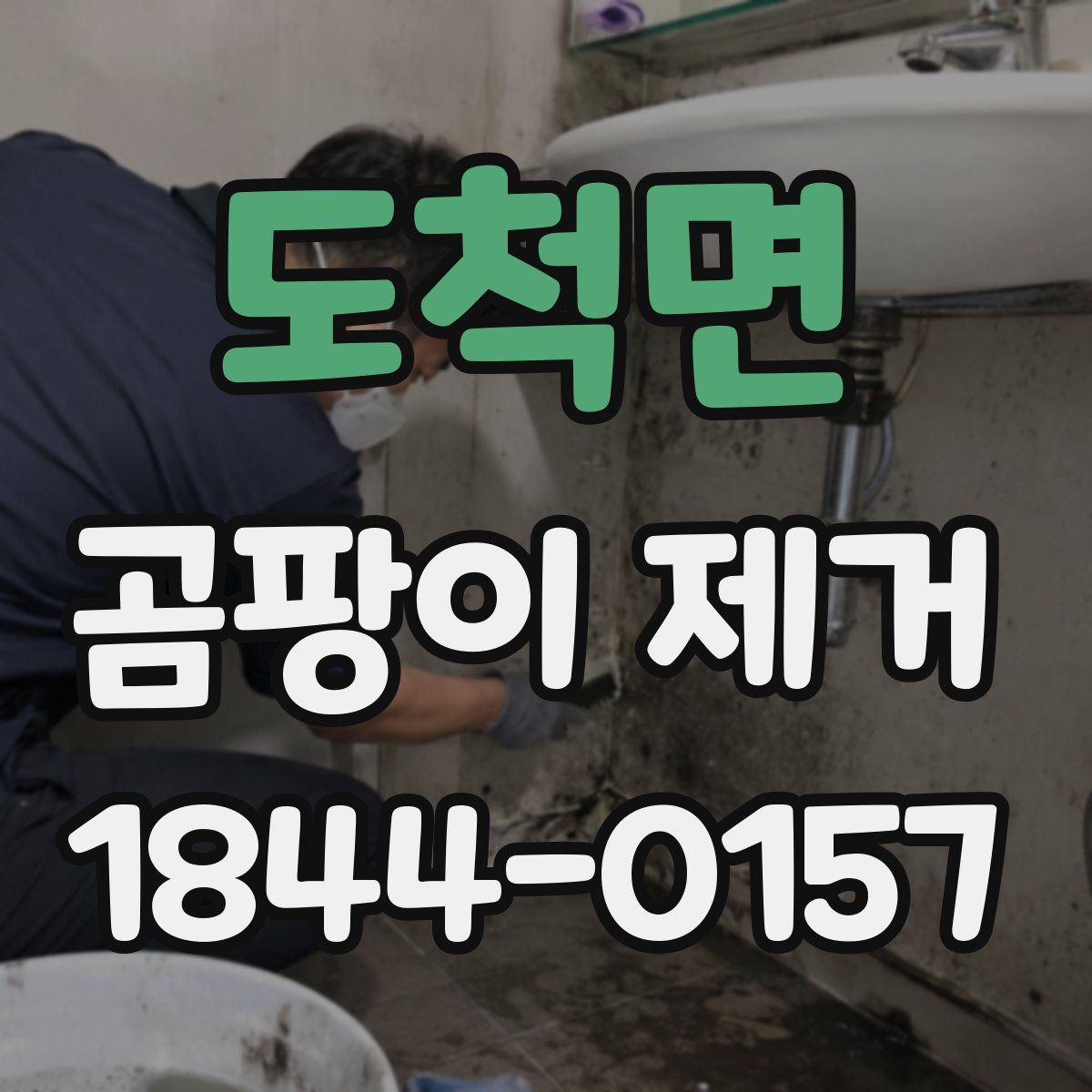 도척면 곰팡이 제거