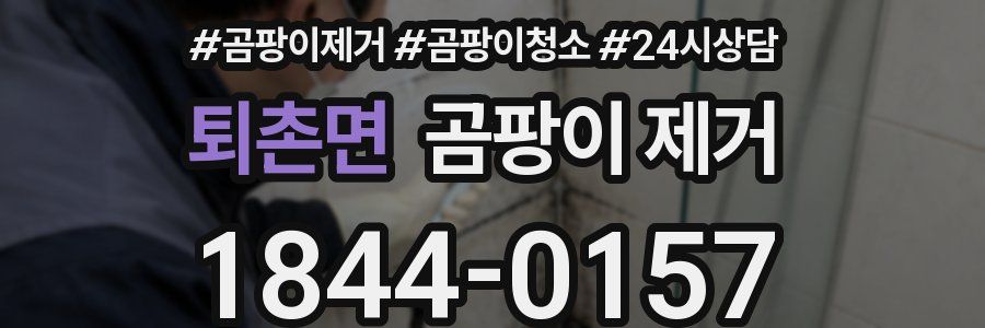 퇴촌면 곰팡이 제거