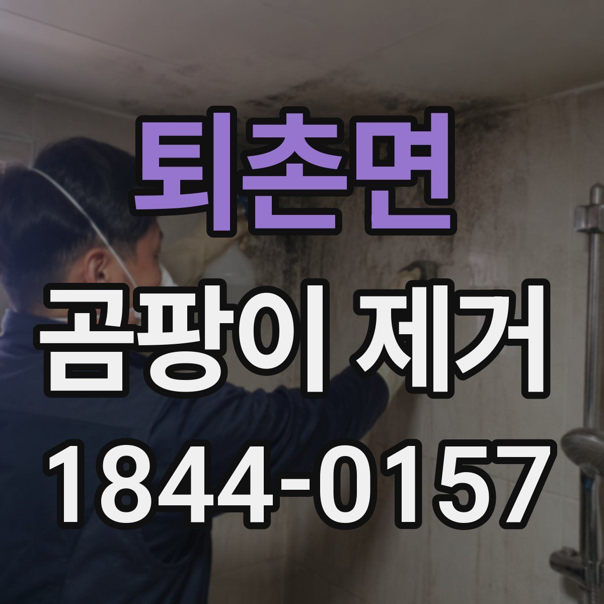 퇴촌면 곰팡이 제거