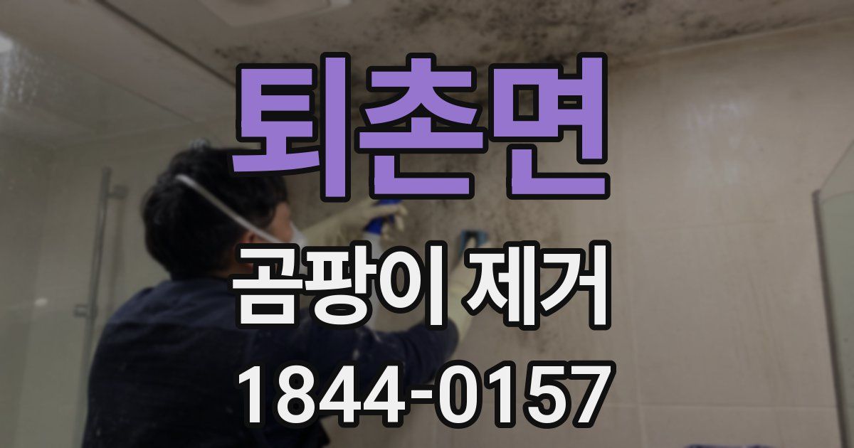 퇴촌면 곰팡이 제거