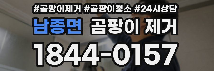 남종면 곰팡이 제거