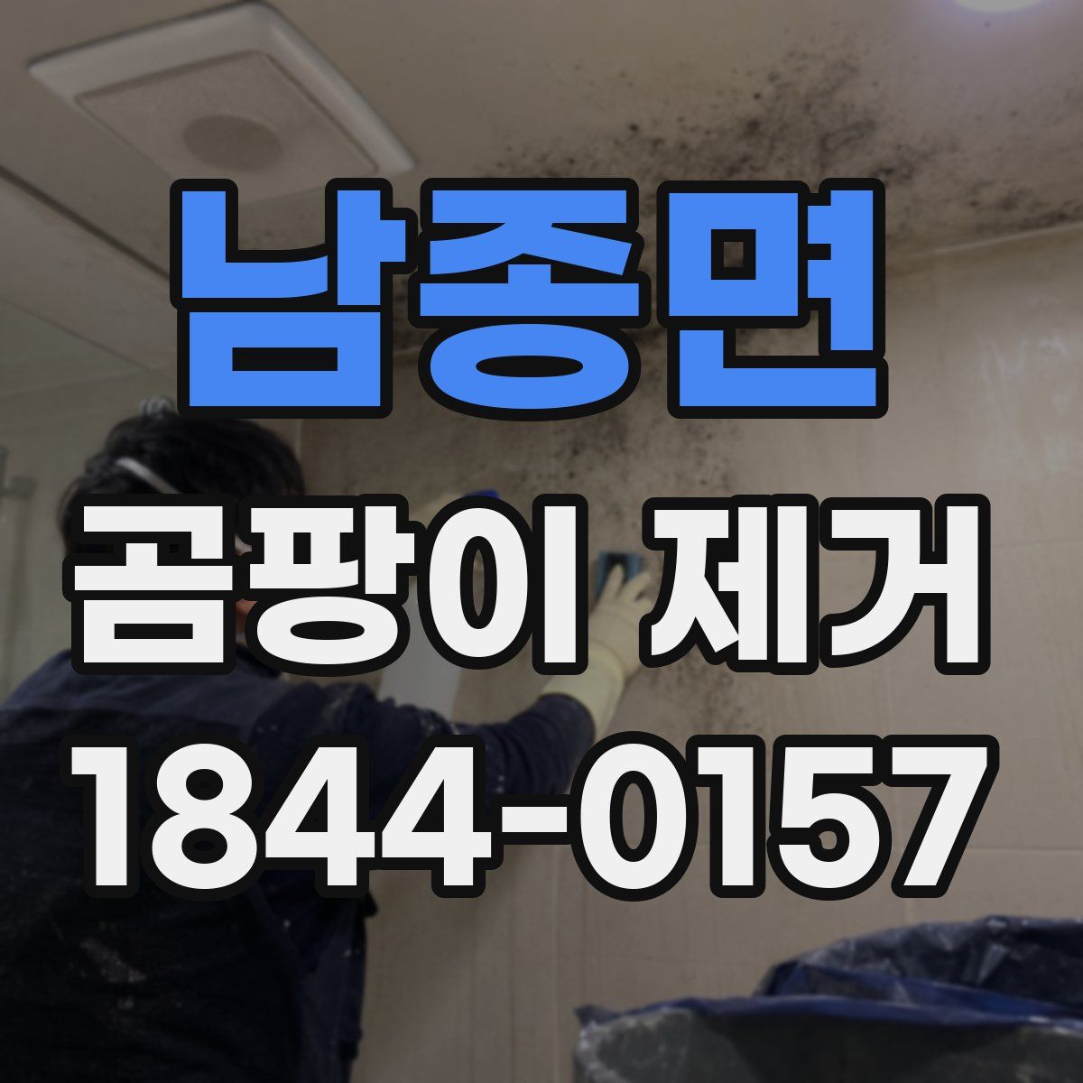 남종면 곰팡이 제거