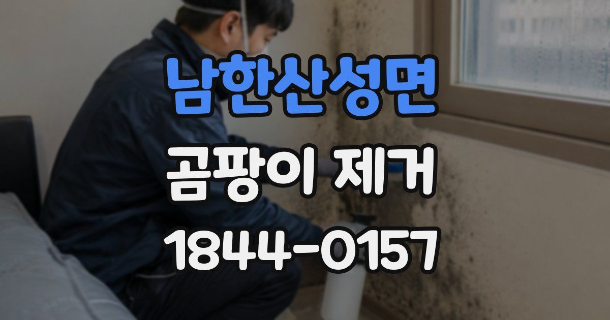 남한산성면 곰팡이 제거