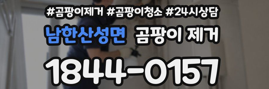 남한산성면 곰팡이 제거
