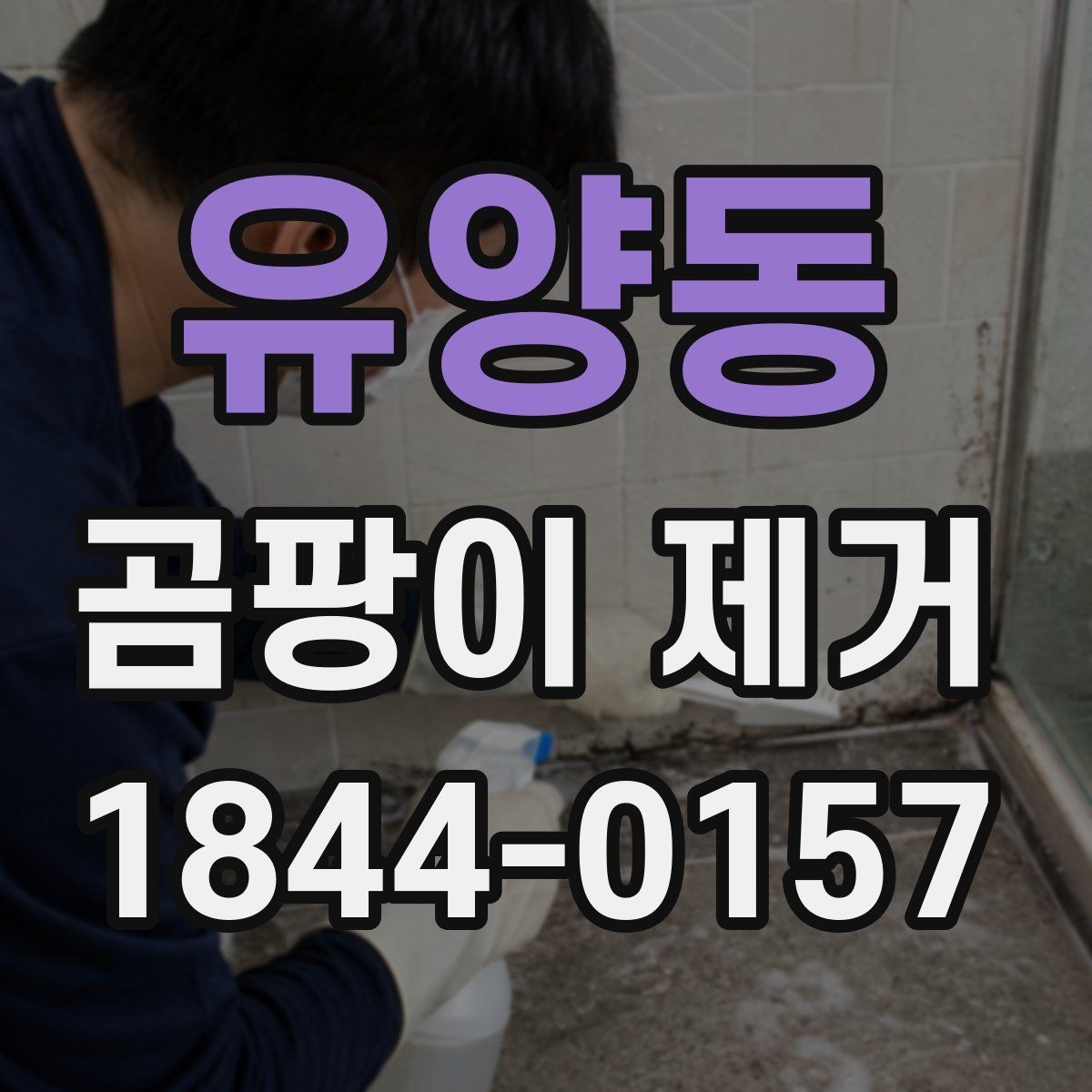 유양동 곰팡이 제거 안전하게 시작하려면 먼저 볼 것