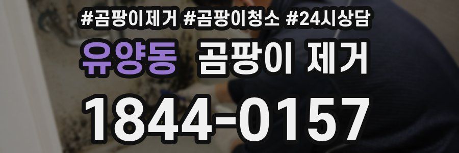 유양동 곰팡이 제거