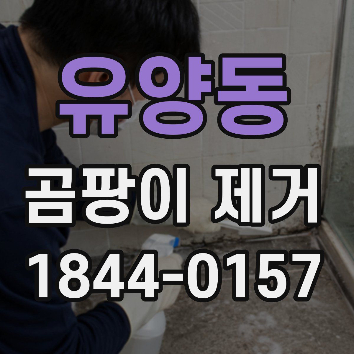 유양동 곰팡이 제거