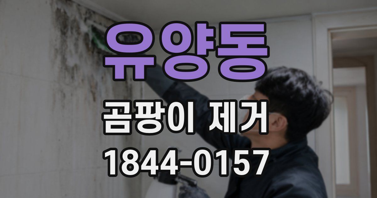 유양동 곰팡이 제거