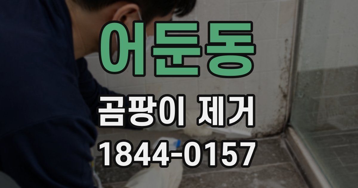 어둔동 곰팡이 제거