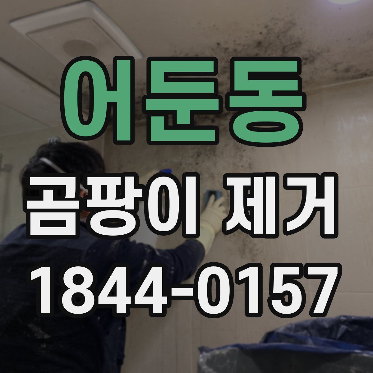 어둔동 곰팡이 제거