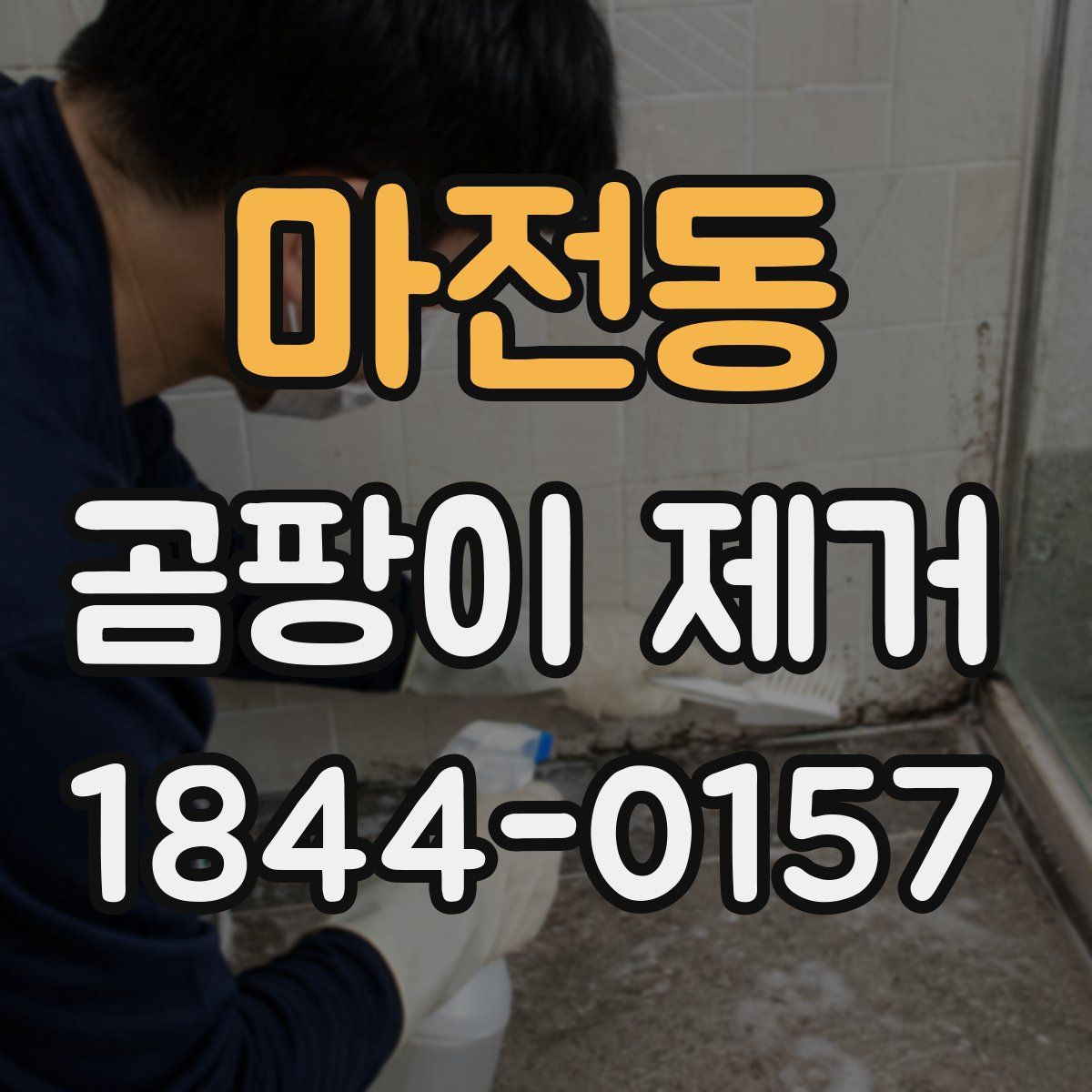 마전동 곰팡이 제거