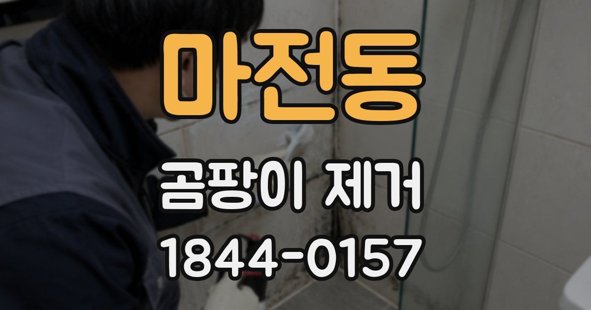 마전동 곰팡이 제거