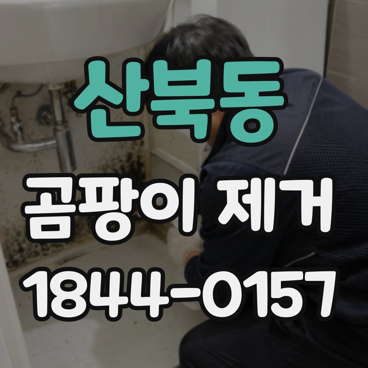 산북동 곰팡이 제거