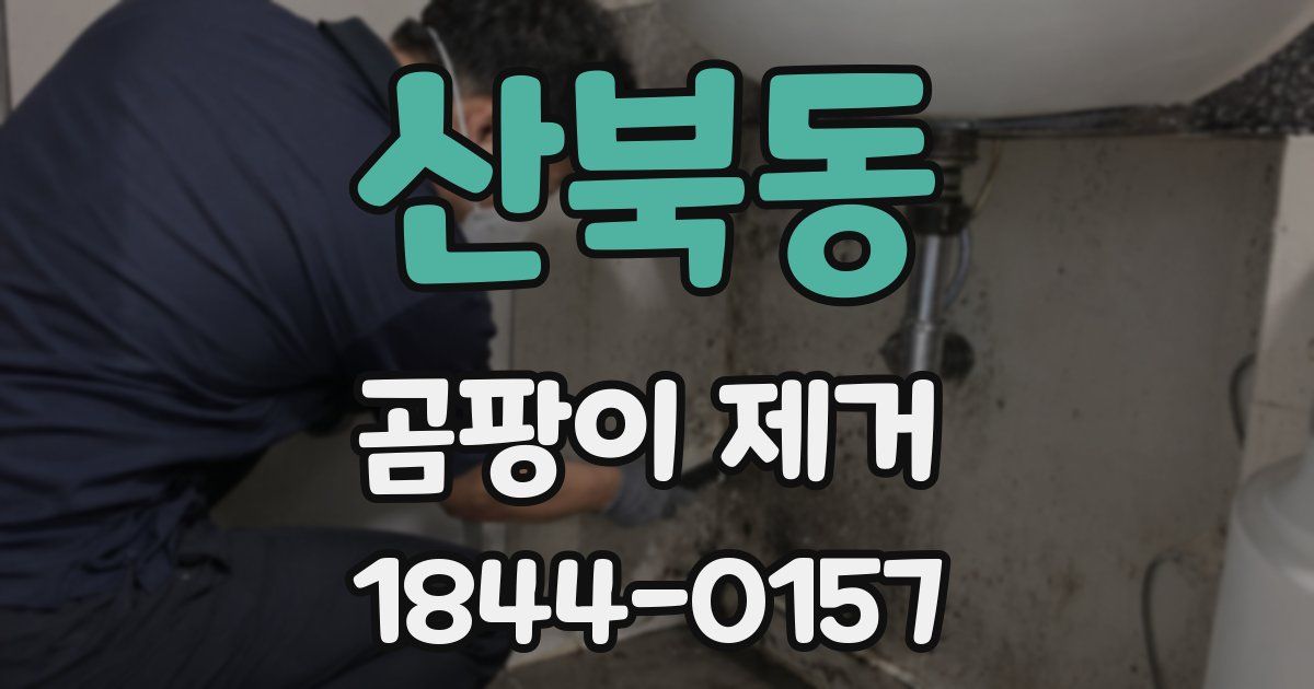 산북동 곰팡이 제거