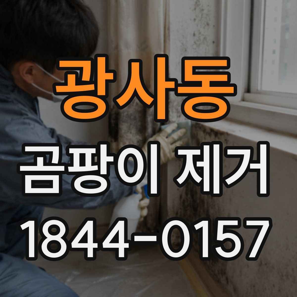 광사동 곰팡이 제거