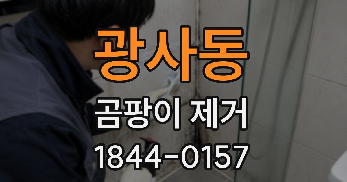 광사동 곰팡이 제거