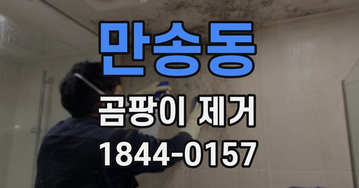 만송동 곰팡이 제거