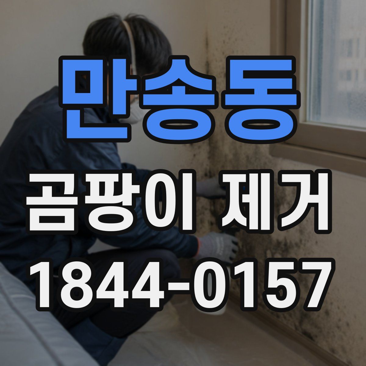 만송동 곰팡이 제거
