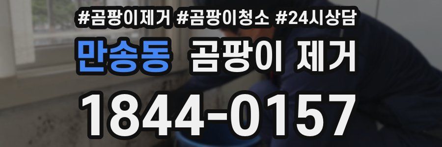 만송동 곰팡이 제거