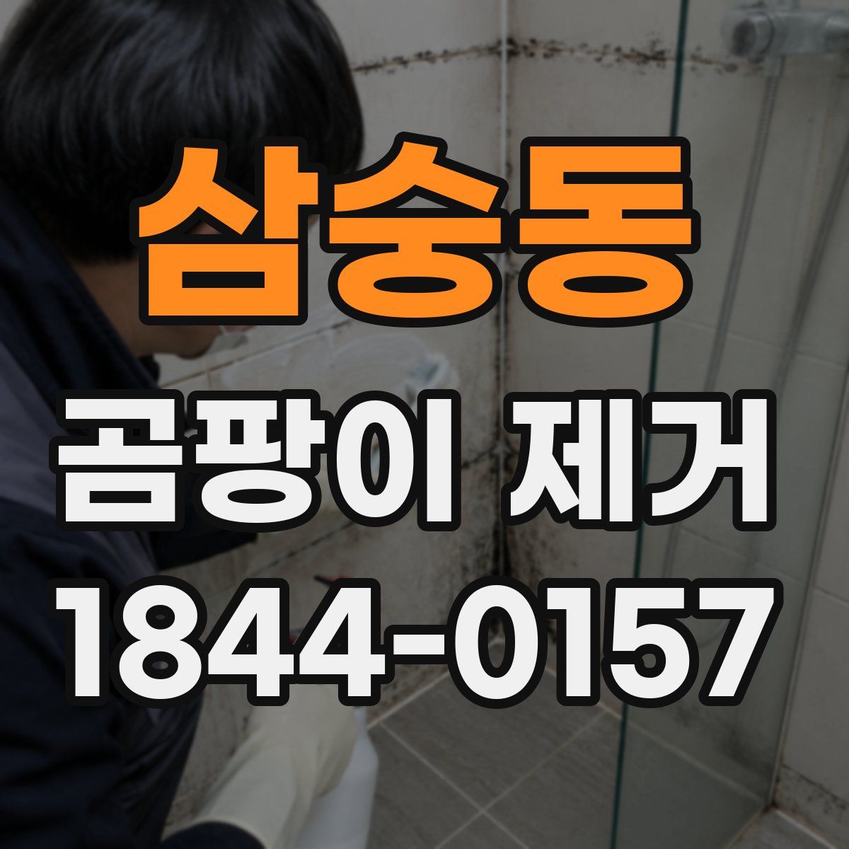 삼숭동 곰팡이 제거
