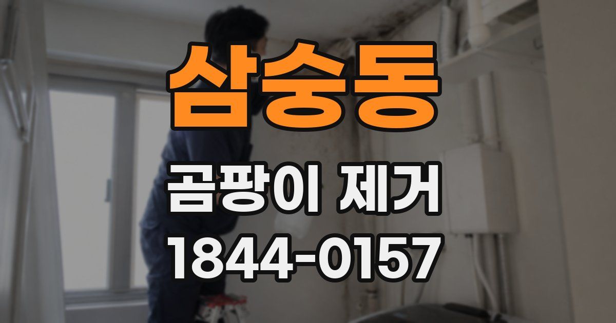 삼숭동 곰팡이 제거