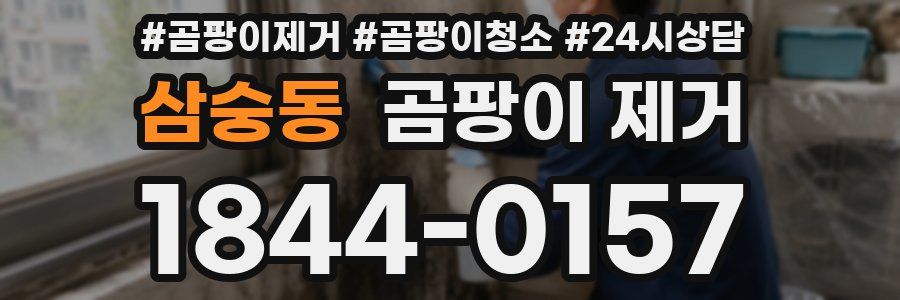삼숭동 곰팡이 제거