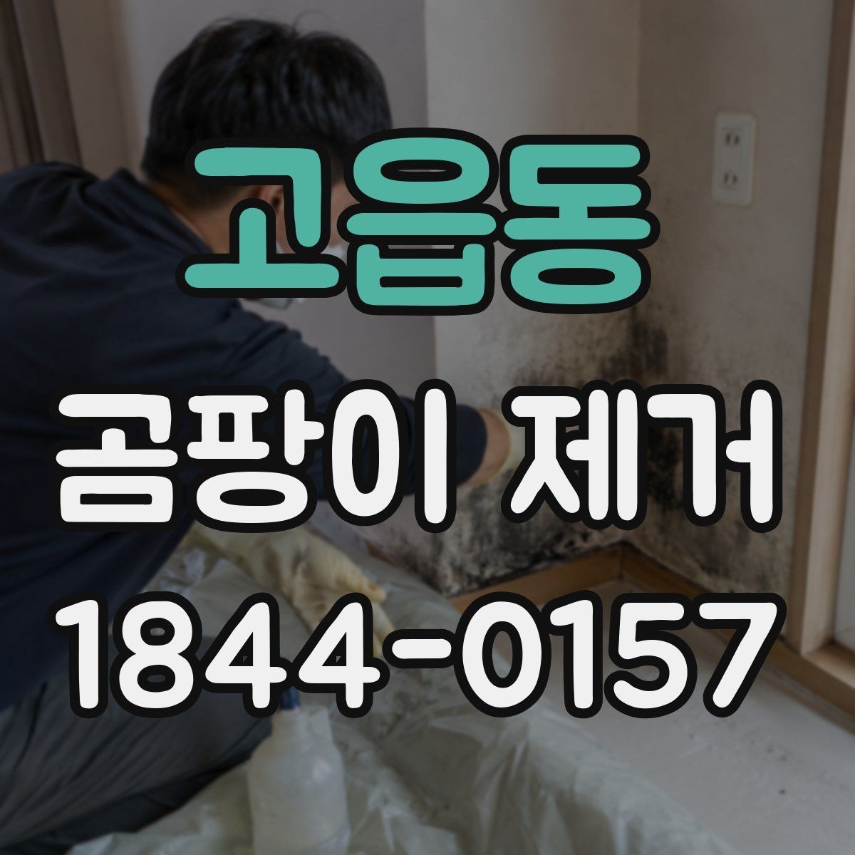 고읍동 곰팡이 제거 냄새와 얼룩을 함께 다루는 방법