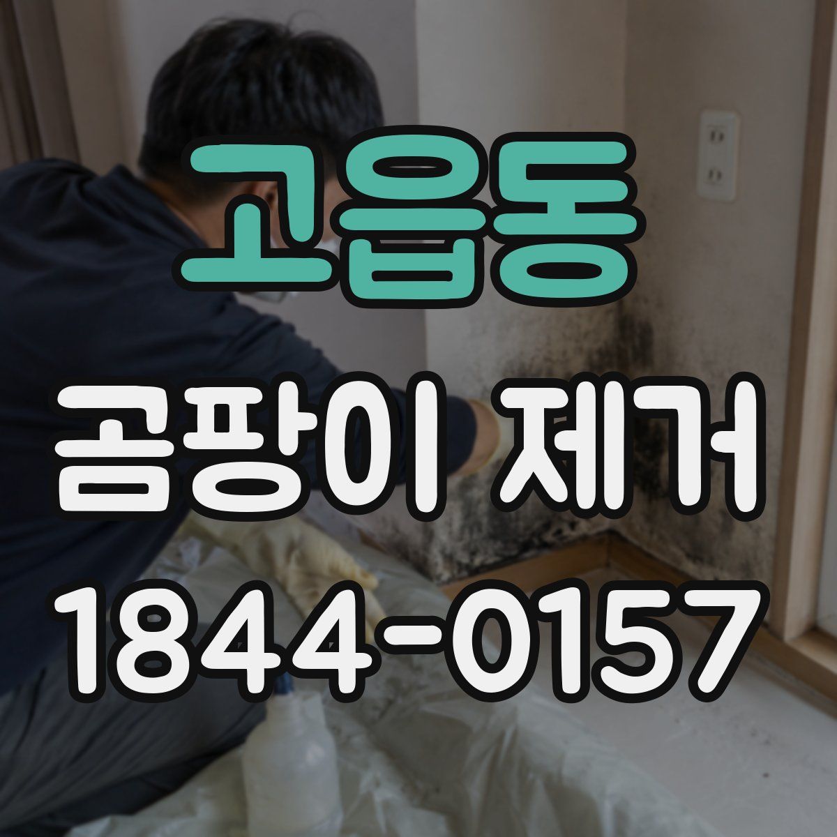 고읍동 곰팡이 제거
