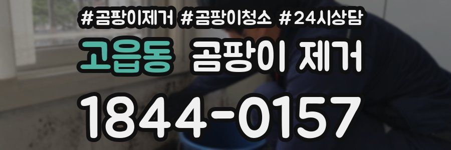 고읍동 곰팡이 제거