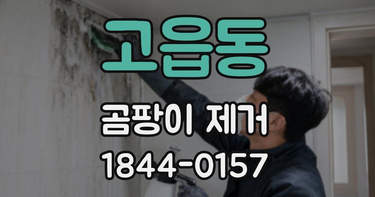 고읍동 곰팡이 제거