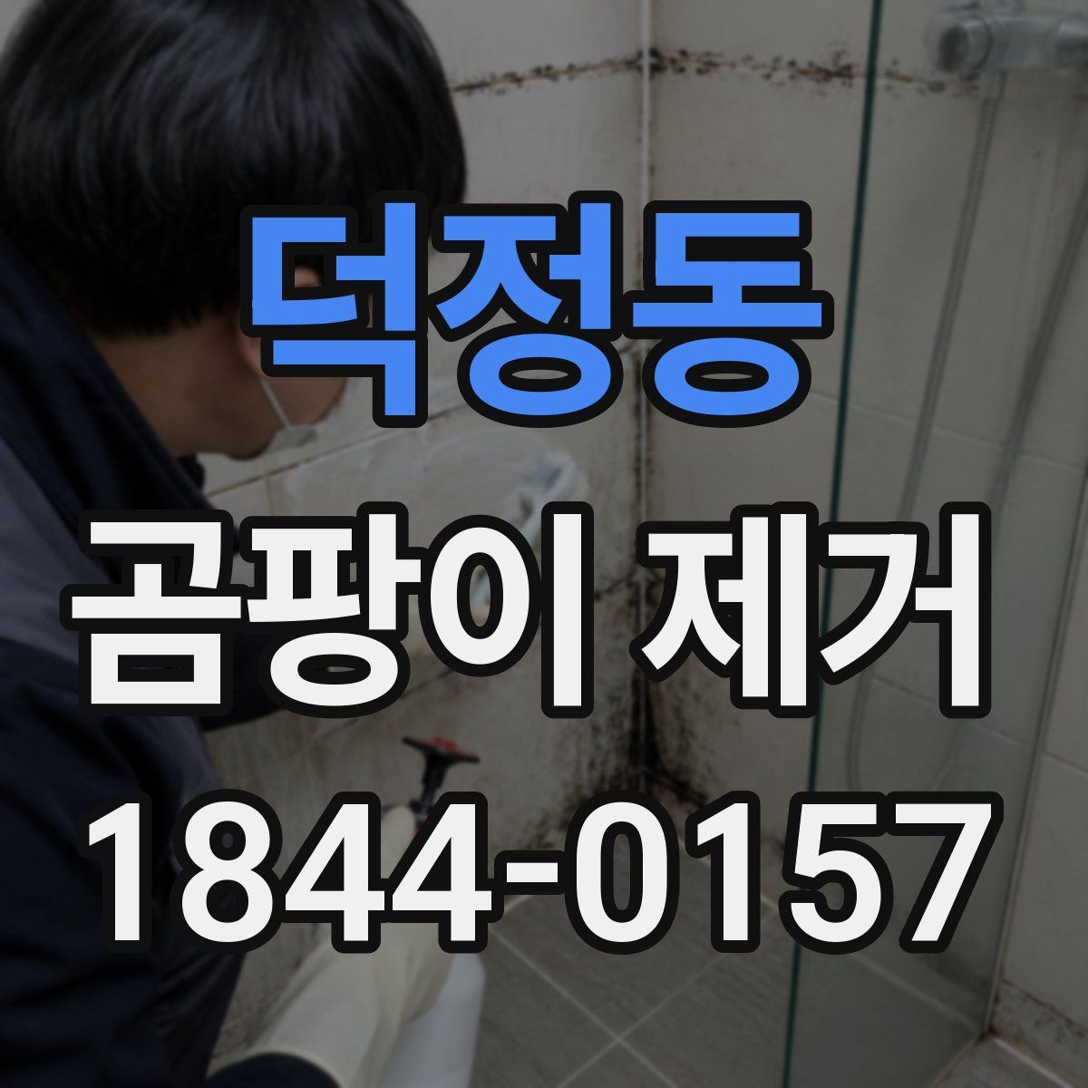 덕정동 곰팡이 제거