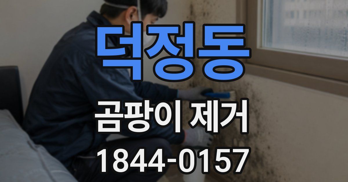 덕정동 곰팡이 제거