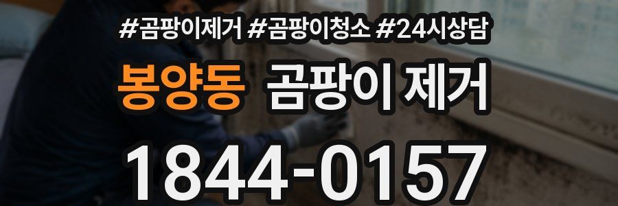 봉양동 곰팡이 제거
