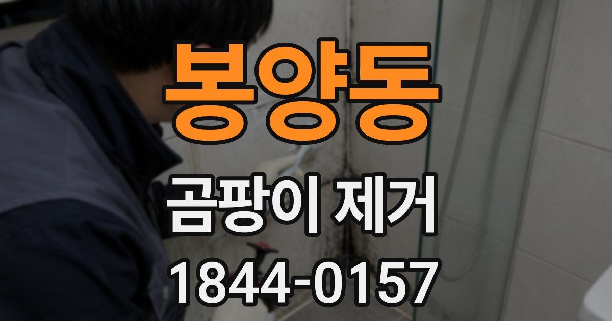 봉양동 곰팡이 제거