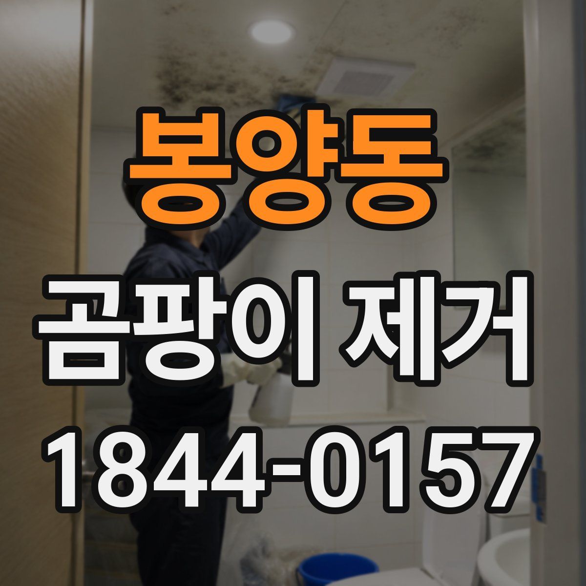 봉양동 곰팡이 제거