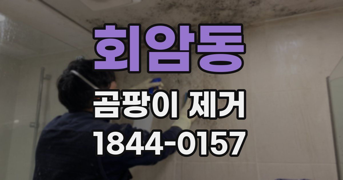 회암동 곰팡이 제거