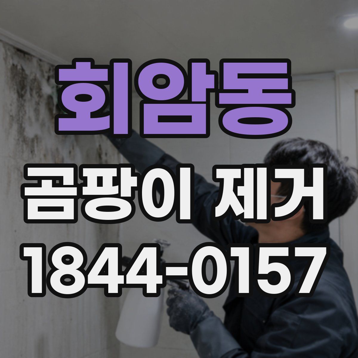 회암동 곰팡이 제거