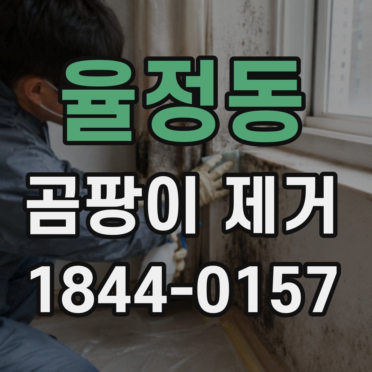 율정동 곰팡이 제거 천장과 벽면을 함께 관리하는 기준