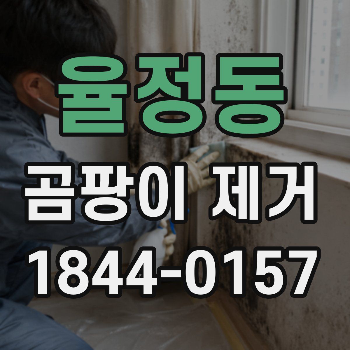 율정동 곰팡이 제거
