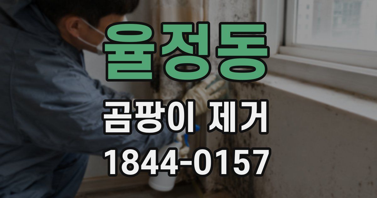 율정동 곰팡이 제거