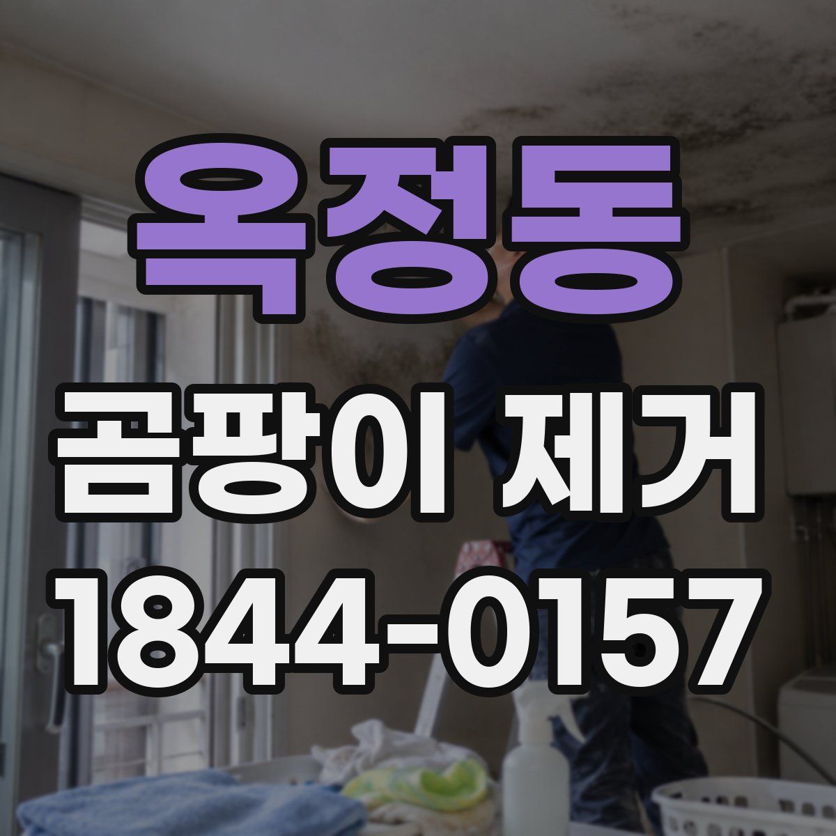 옥정동 곰팡이 제거