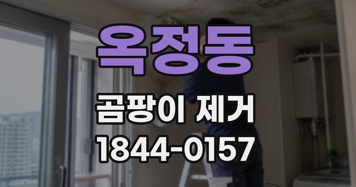 옥정동 곰팡이 제거