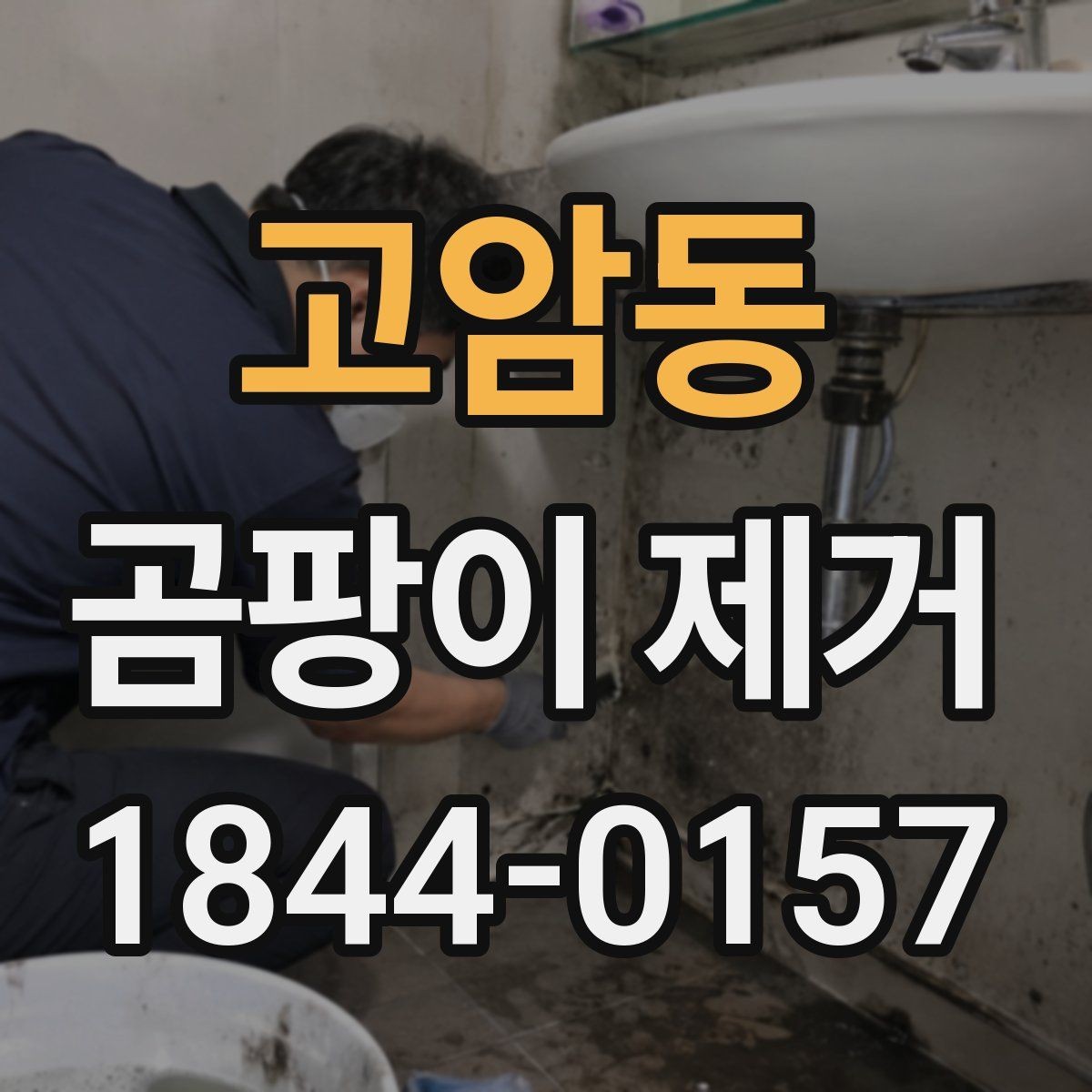 고암동 곰팡이 제거 에어컨 곰팡이 점검 시기와 확인법