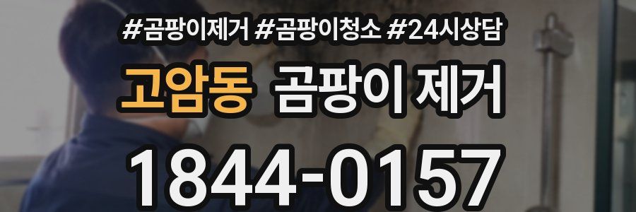 고암동 곰팡이 제거