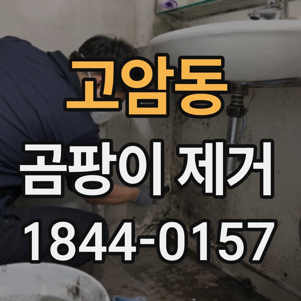 고암동 곰팡이 제거