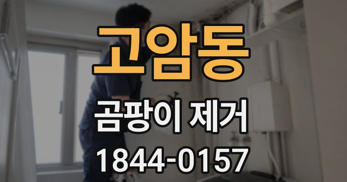 고암동 곰팡이 제거
