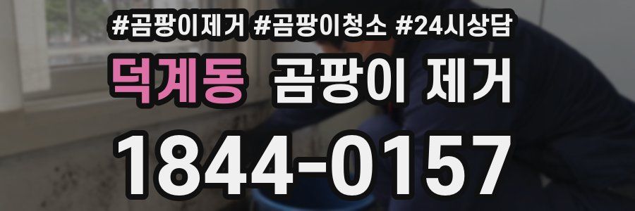 덕계동 곰팡이 제거