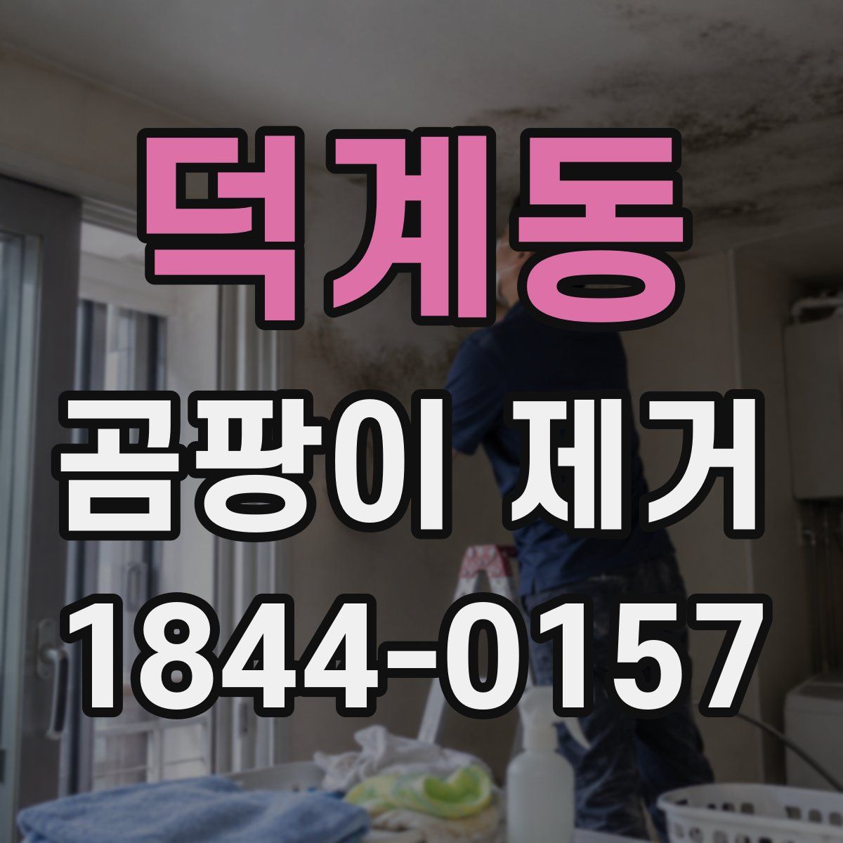 덕계동 곰팡이 제거