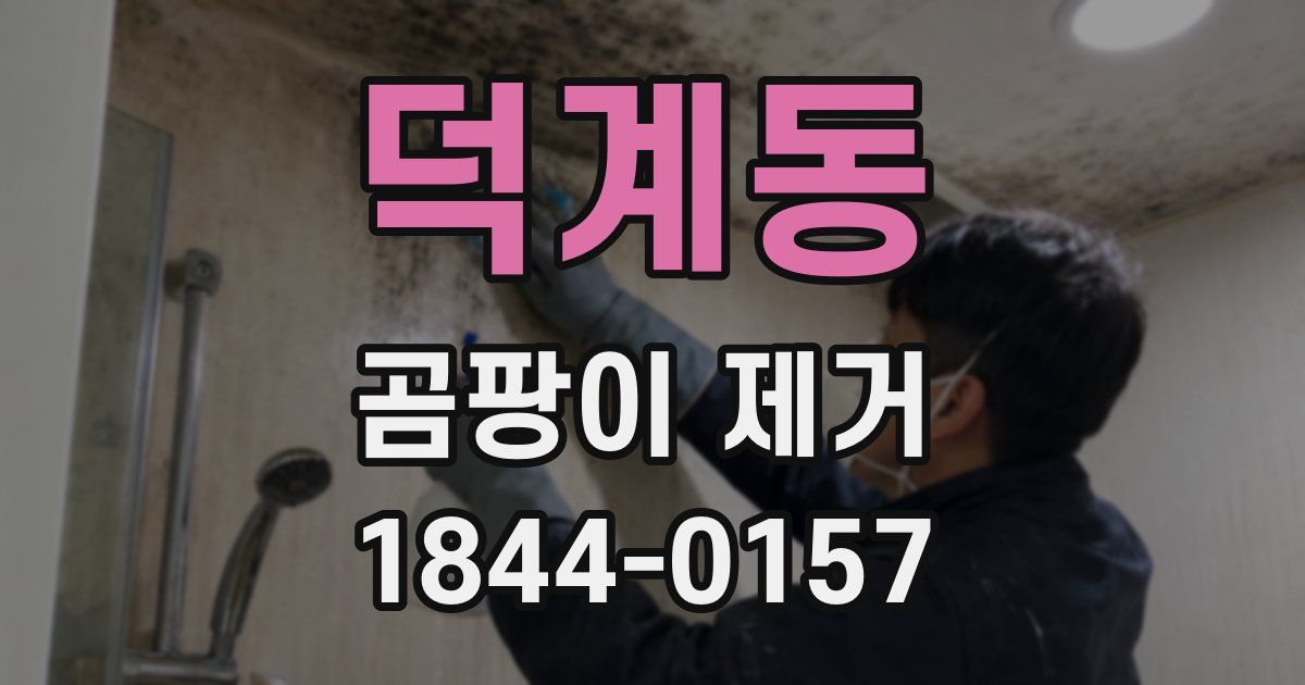 덕계동 곰팡이 제거